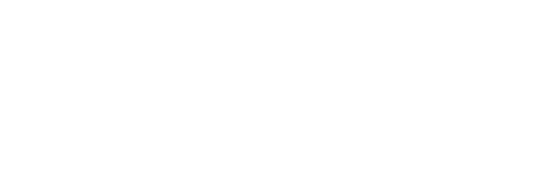 fortesacurdina.com